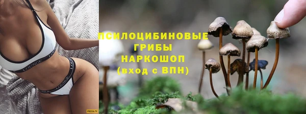 гидра Алексеевка