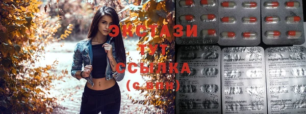 гидра Алексеевка